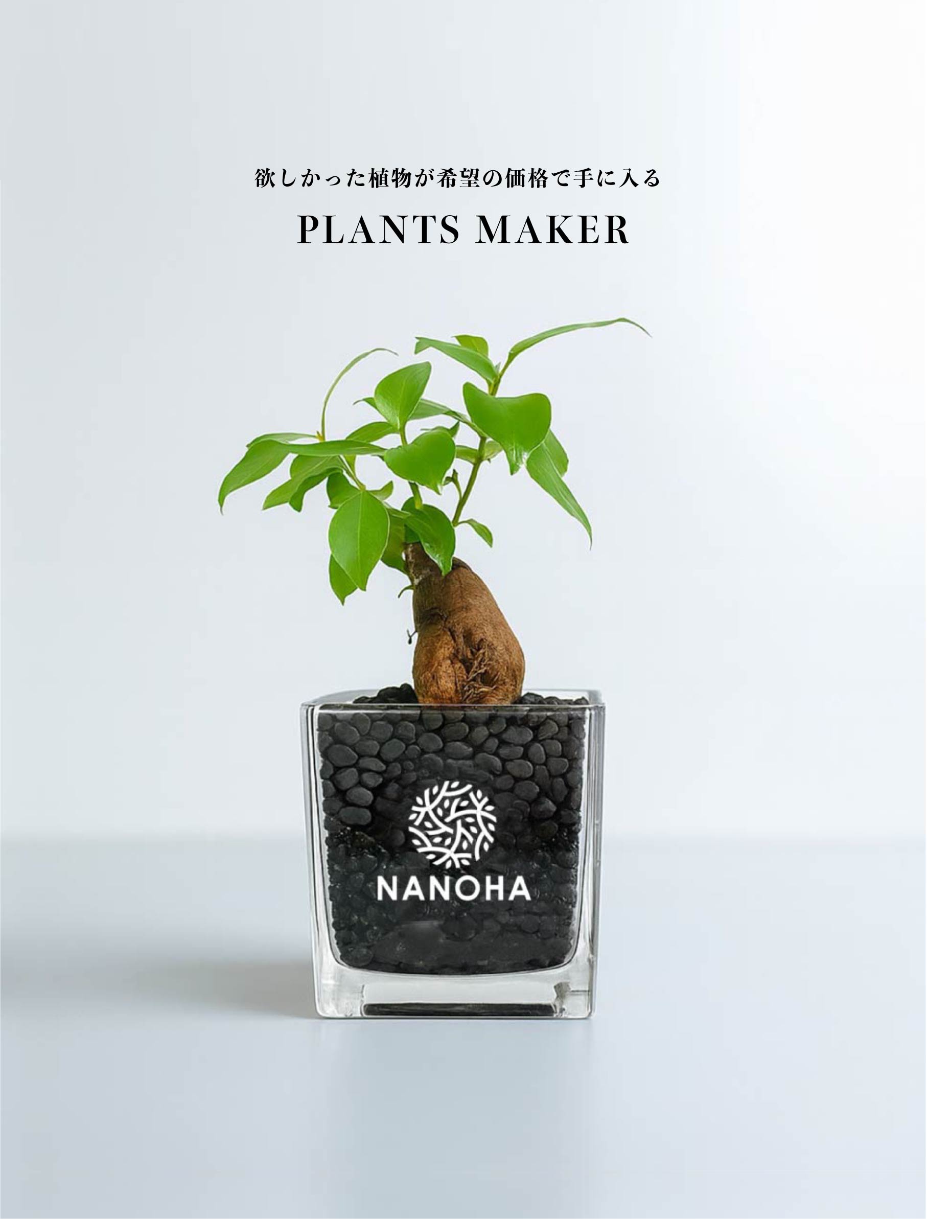 NANOHA トップイメージ（スマホ版）