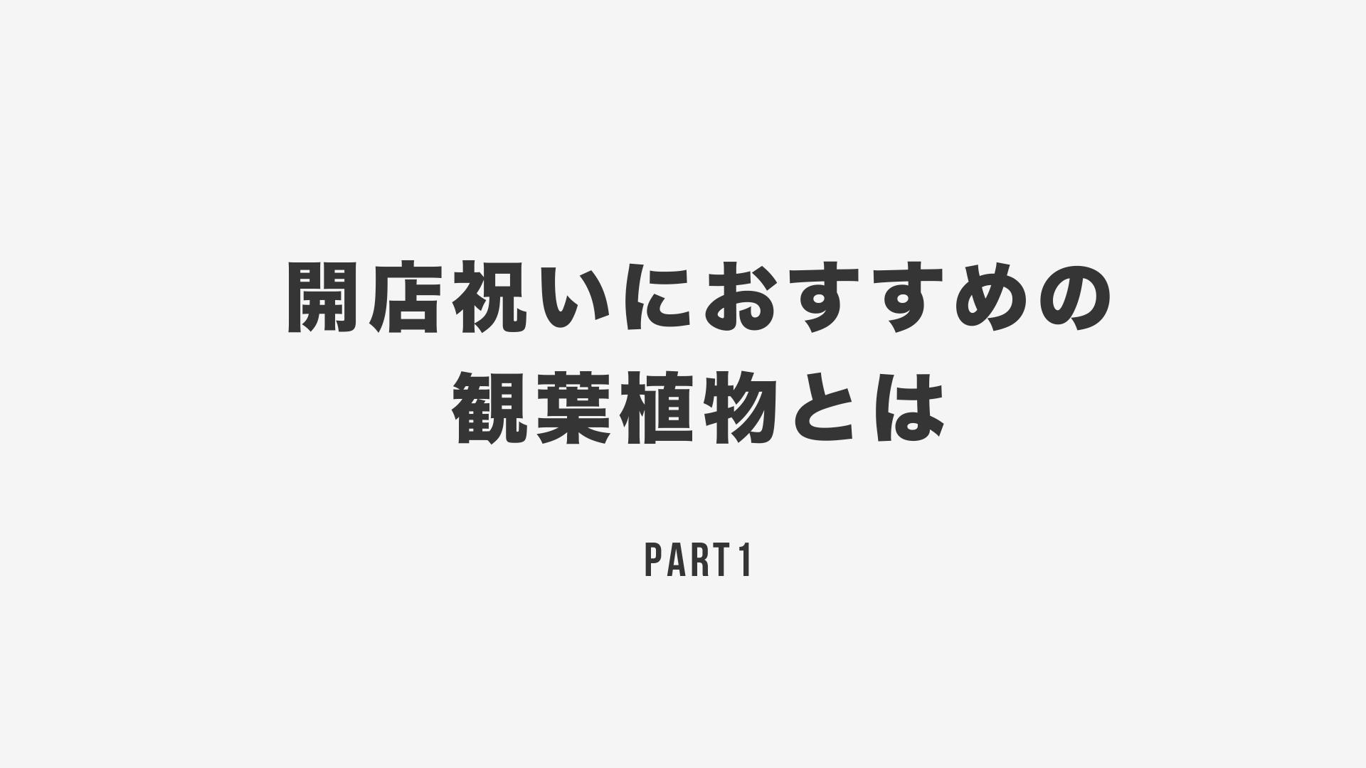 開店祝いにおすすめの観葉植物とは