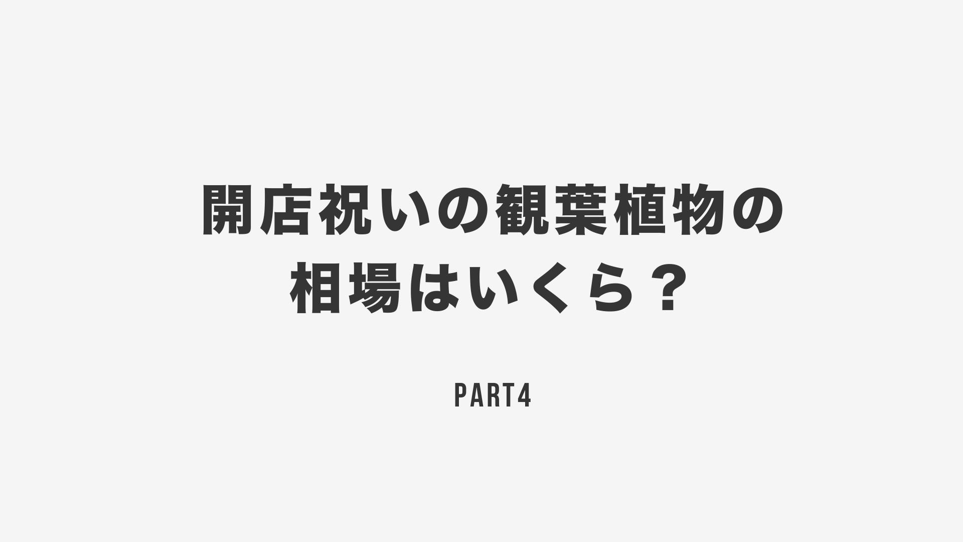 開店祝いの観葉植物の相場はいくら？