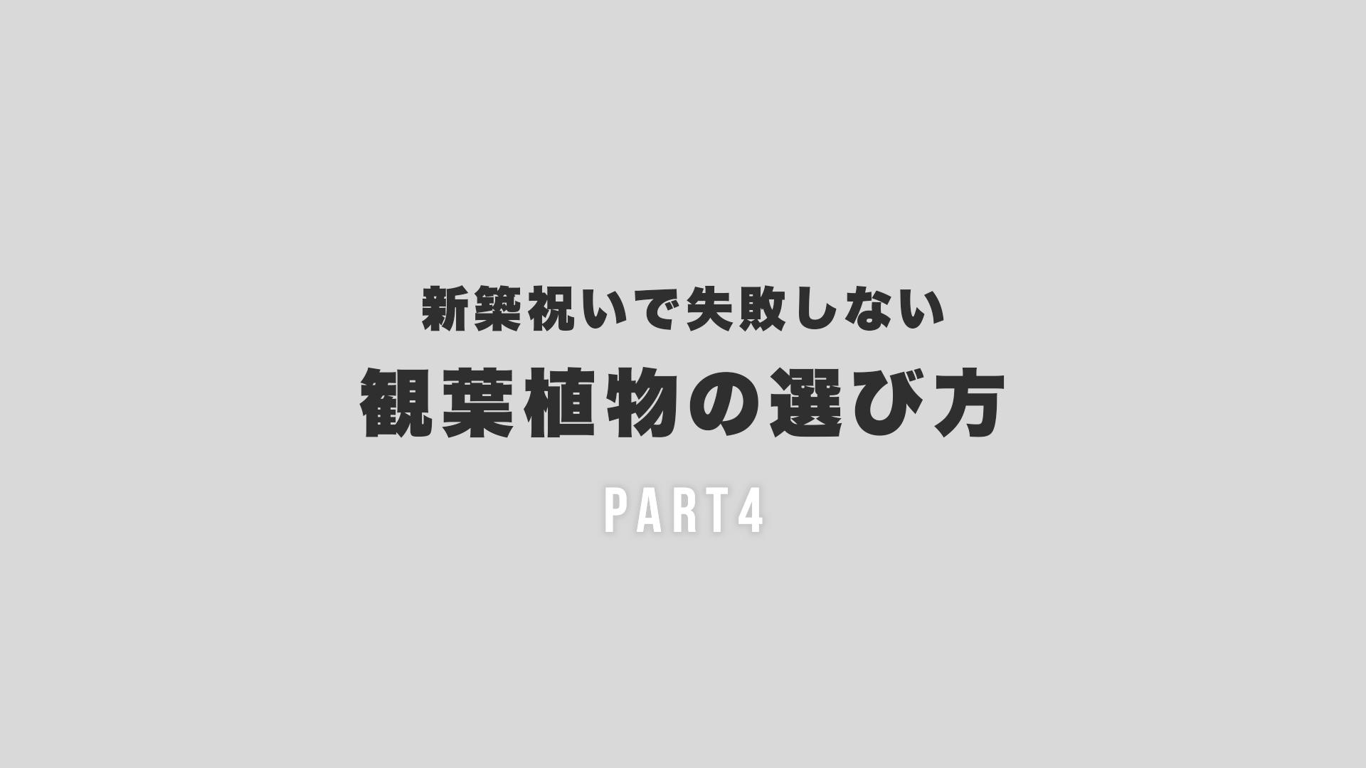 新築祝いで失敗しない観葉植物の選び方