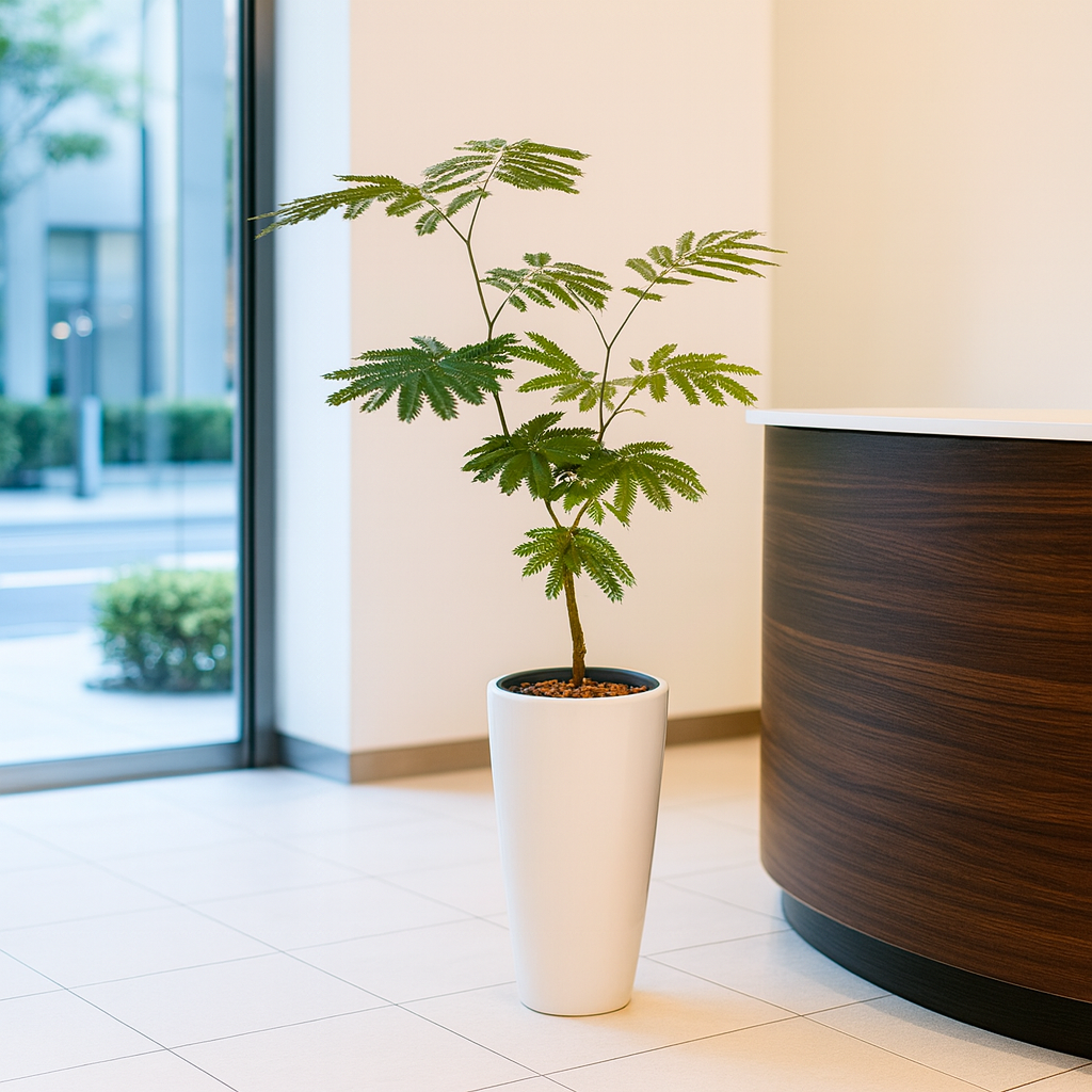 エバーフレッシュ白の長丸陶器3