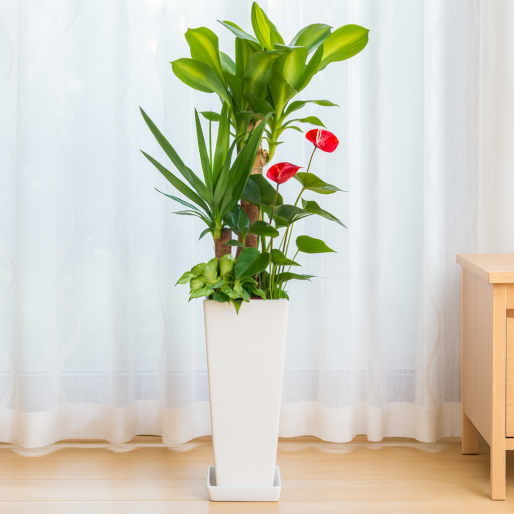 観葉植物の寄せ植え７号サイズ2