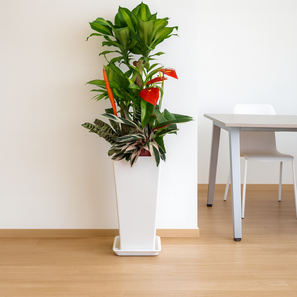 観葉植物の寄せ植え10号サイズ4